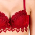 Maroon Bridal Embroidery Flower Underwire Push up Bra & Panty Set