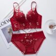 Secret Lives Padded Red Bralette Set for Women Without Rims